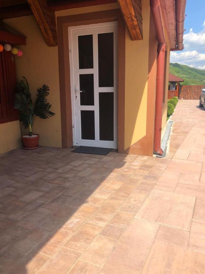 Casa Alexia Hotel Hateg Ngoại thất bức ảnh