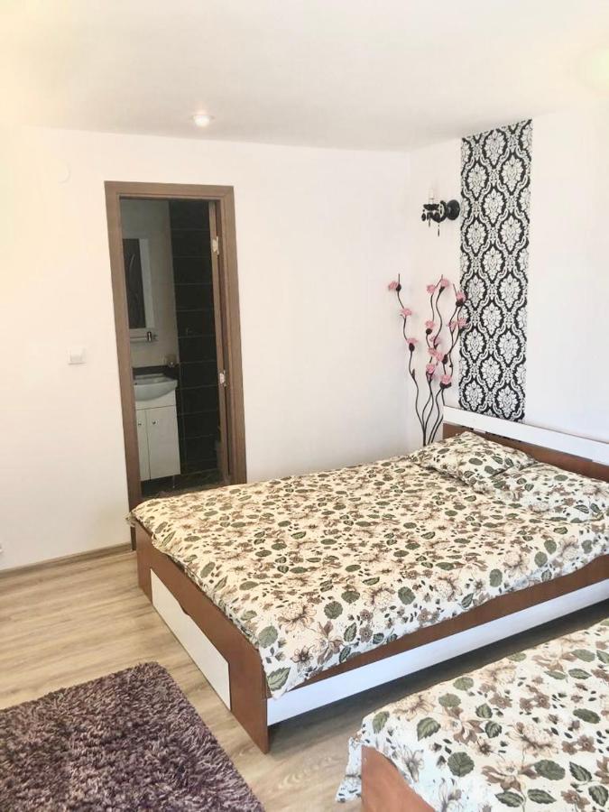 Casa Alexia Hotel Hateg Ngoại thất bức ảnh